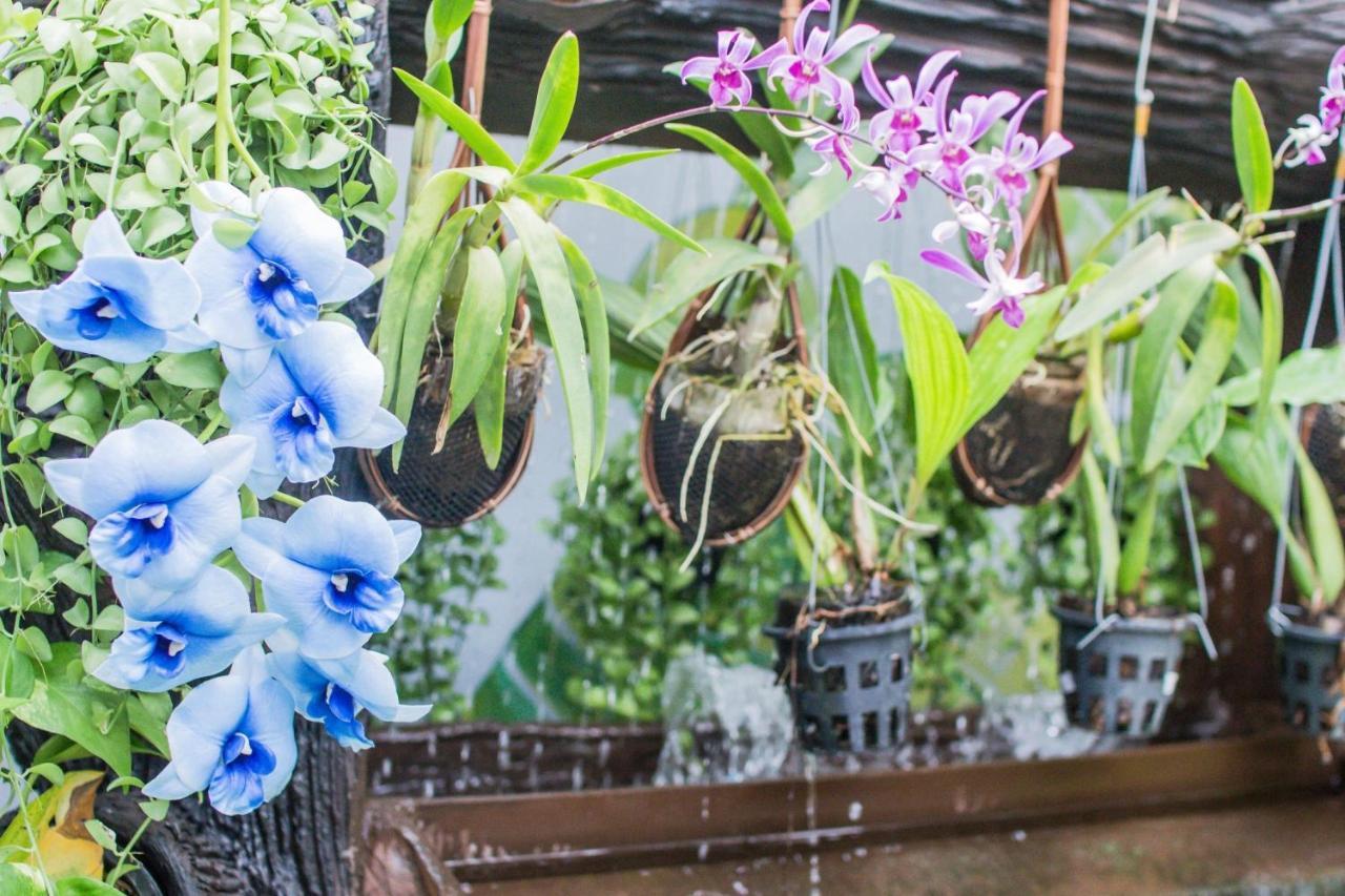 Villa Siam & Spa Bangkok Zewnętrze zdjęcie